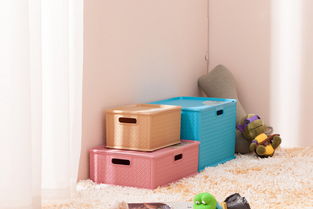 家居用品与五金交电 理性看待网购便利，规避潜在风险