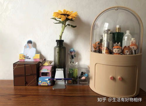 女性居家必备 实用五金交电用品清单