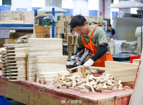 家居市场“金九银十”火热启动，五金交电选购指南助您精明消费